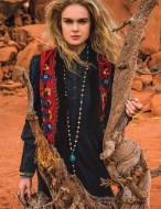 3-GDcolorofthewindvest